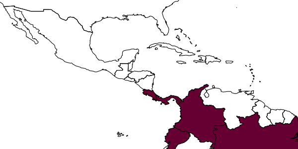 map of Palmistichus elaeisis     Delvare & LaSalle, 1993